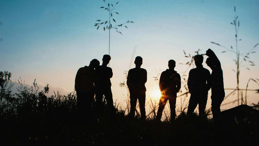 Silhouette of six people standing in grass at sunset, creating a serene and social atmosphere.