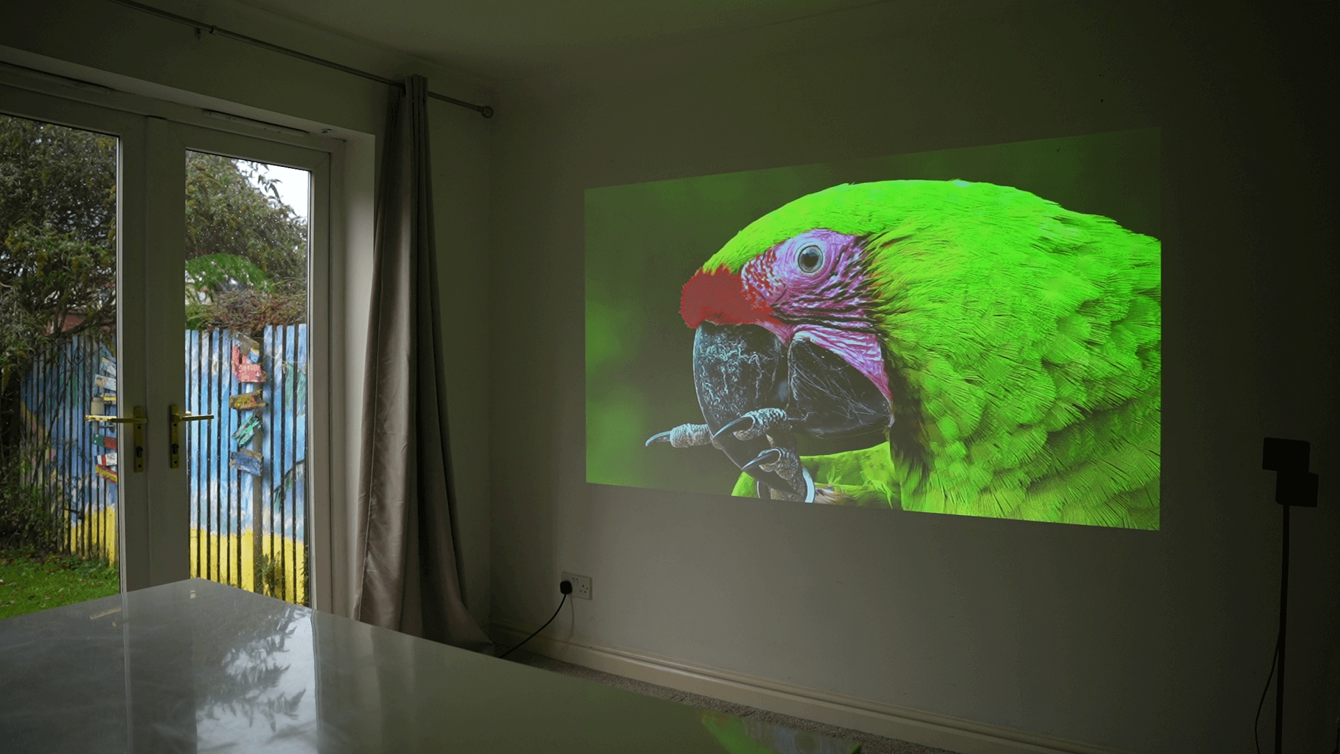 Pico Genie M550 Plus 4.0 Smart Projector projecting a close-up of a vibrant green parrot.