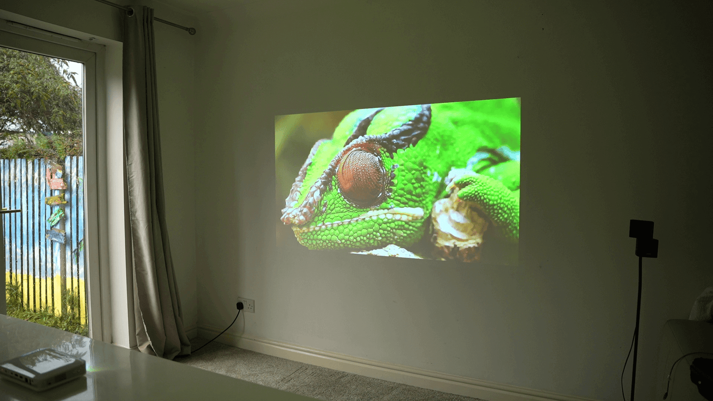 Pico Genie M550 Plus 4.0 Smart Projector displaying a close-up image of a green frog on a wall.