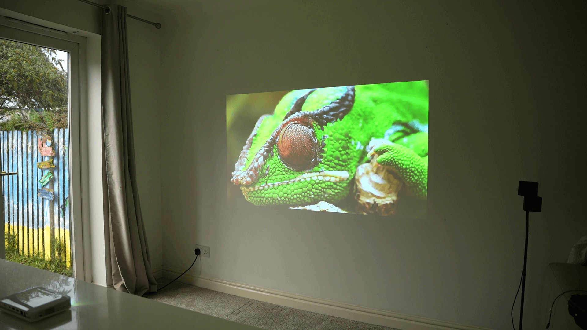 Pico Genie M550 Plus 4.0 Smart Projector displaying a close-up image of a green frog on a wall.